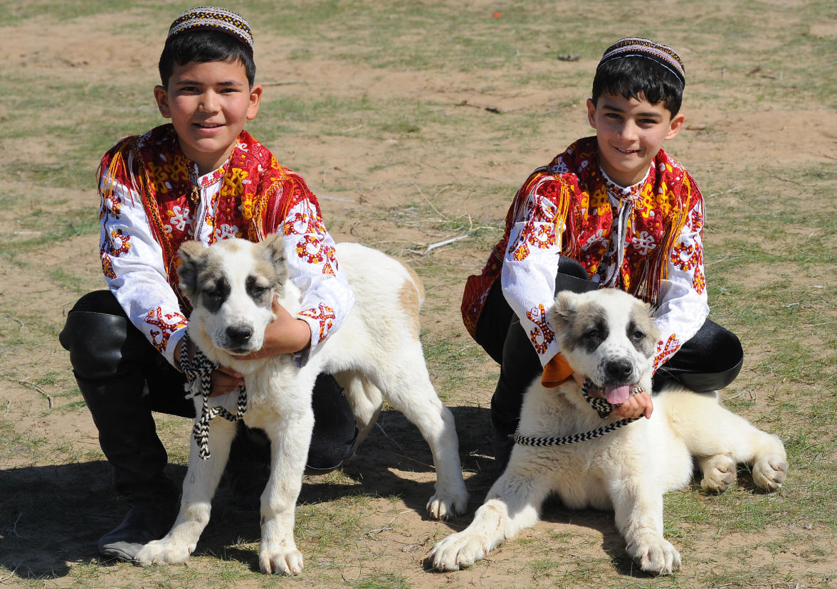 中亞-CentralAsia-中亞牧羊犬-8