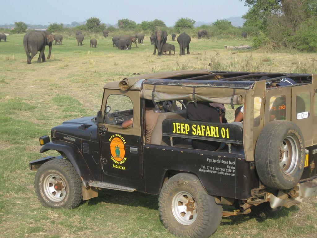 Habarana Safari 2 (cr. Shankar S.)