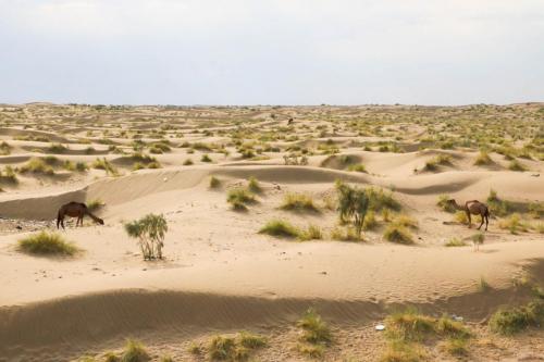 Turkmen-Desert