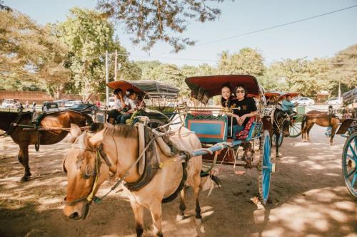 Myanmar Bagan Carriage Ride